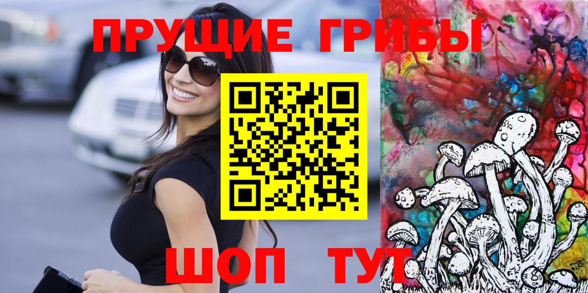Галлюциногенные грибы Cubensis  где купить наркоту  Ковров  Вход с VPN 